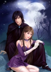 六十年代巧媳婦